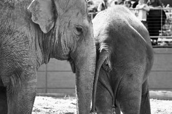 ZOO-20.jpg