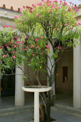191 Beausoleil  - Villa Kerylos.jpg