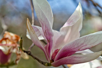 047-New York City.jpg