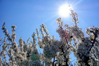 033-Stevns Klint.jpg