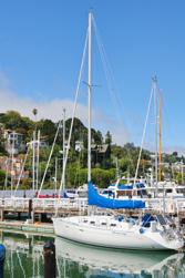 271 San Francisco.jpg