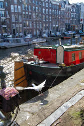 085-Holland.jpg