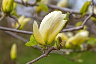 043-New York City.jpg